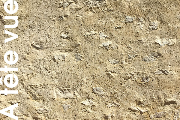 Aspect d'enduit à la chaux dit à tête vue